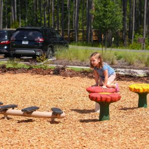 Westside Regional Park Playground Opens in Nassau County icon